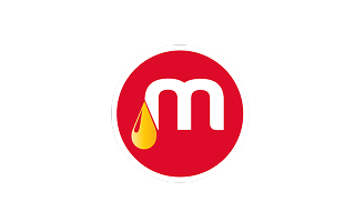Mt. Meru Group